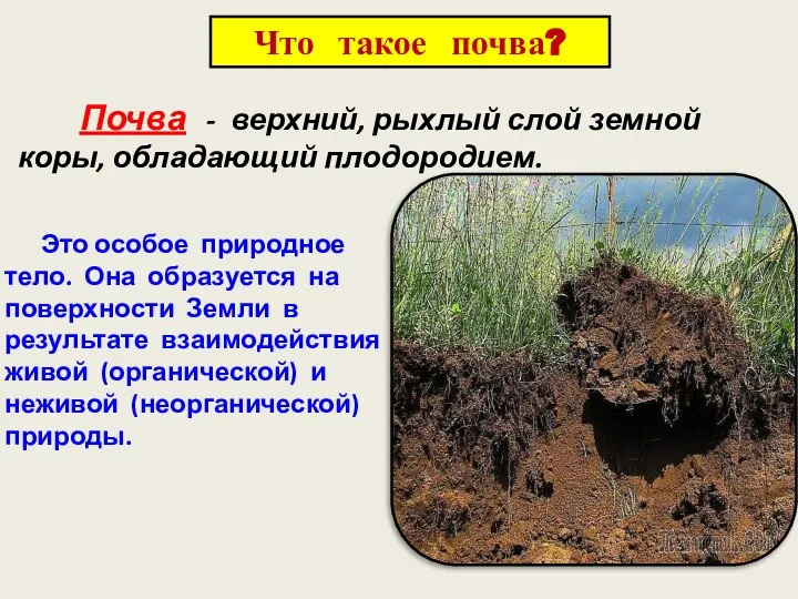 Что такое почва? Почва - верхний, рыхлый слой земной коры, обладающий плодородием.