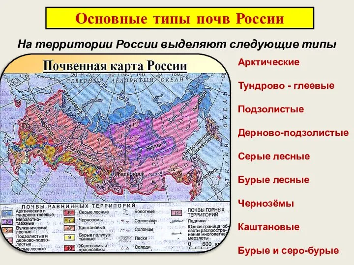 Основные типы почв России На территории России выделяют следующие типы почв: Арктические