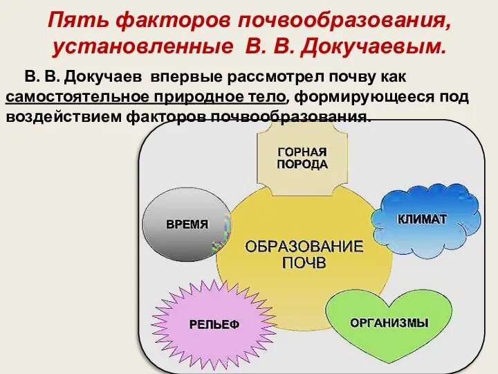 Пять факторов почвообразования, установленные В. В. Докучаевым. В. В. Докучаев впервые рассмотрел