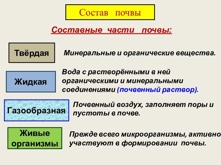 Составные части почвы: Твёрдая Жидкая Газообразная Живые организмы Минеральные и органические вещества.