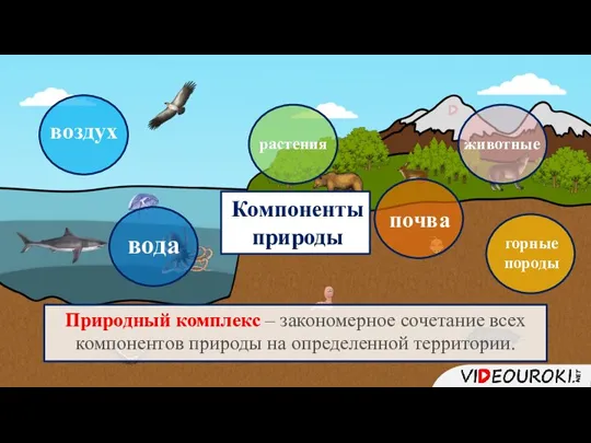 Природный комплекс – закономерное сочетание всех компонентов природы на определенной территории. горные