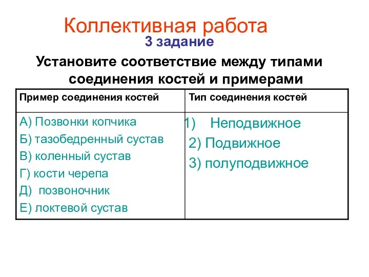 Коллективная работа 3 задание Установите соответствие между типами соединения костей и примерами