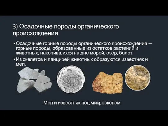 3) Осадочные породы органического происхождения Осадочные горные породы органического происхождения — горные