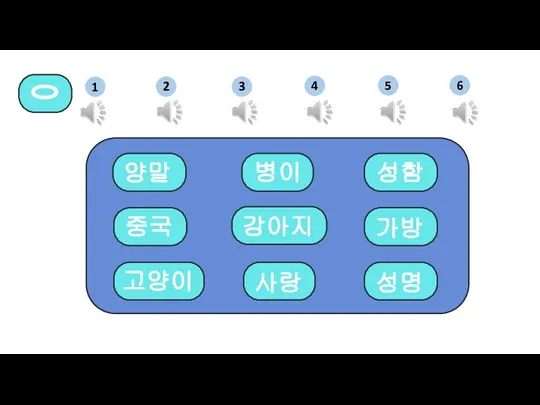 중국 양말 성명 병이 사랑 가방 성함 ㅇ 고양이 강아지