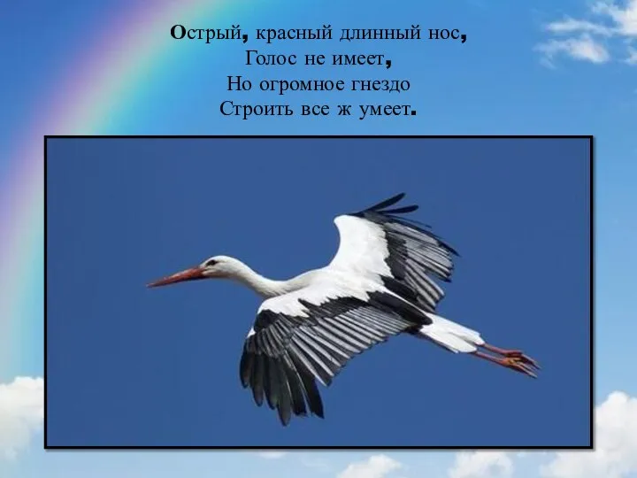 Острый, красный длинный нос, Голос не имеет, Но огромное гнездо Строить все ж умеет.