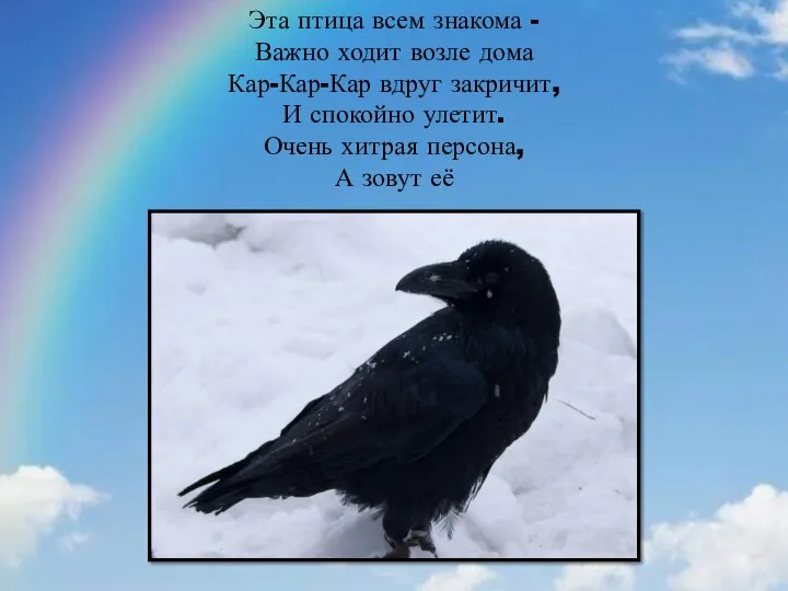 Эта птица всем знакома - Важно ходит возле дома Кар-Кар-Кар вдруг закричит,