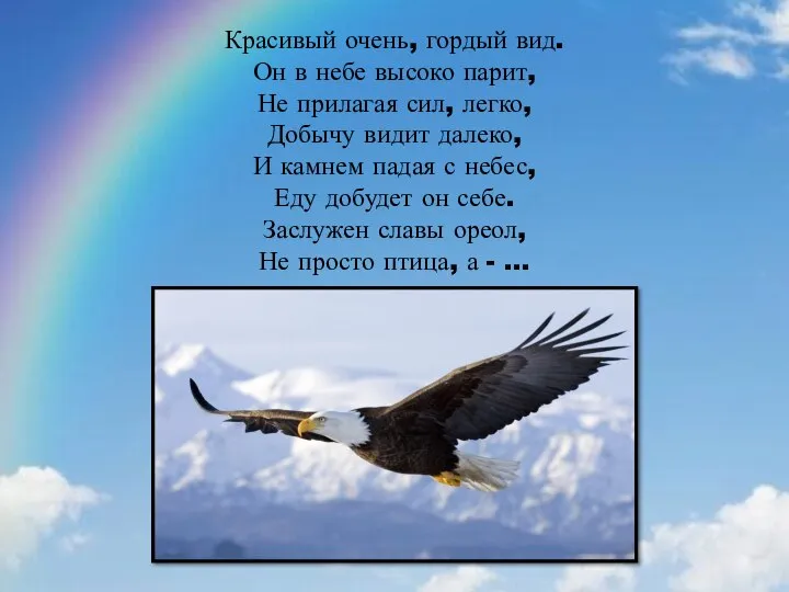 Красивый очень, гордый вид. Он в небе высоко парит, Не прилагая сил,