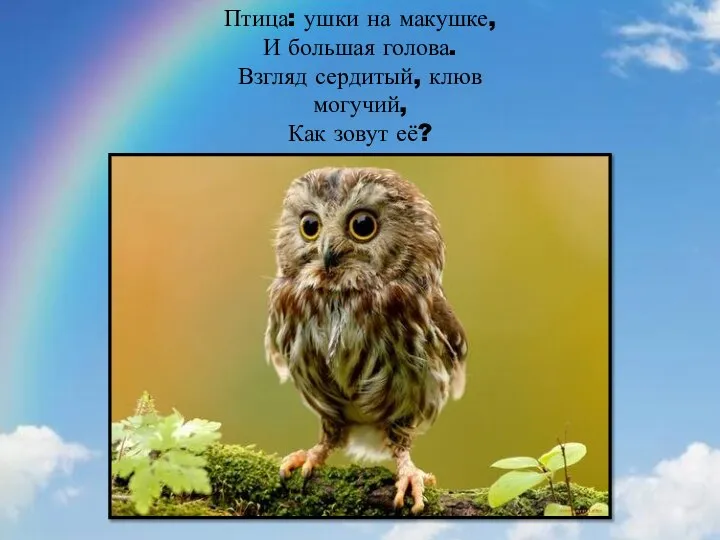 Птица: ушки на макушке, И большая голова. Взгляд сердитый, клюв могучий, Как зовут её?