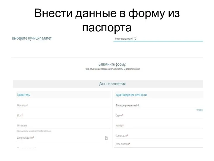Внести данные в форму из паспорта