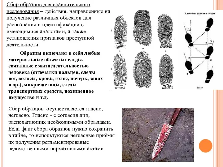 Сбор образцов для сравнительного исследования – действия, направленные на получение различных объектов