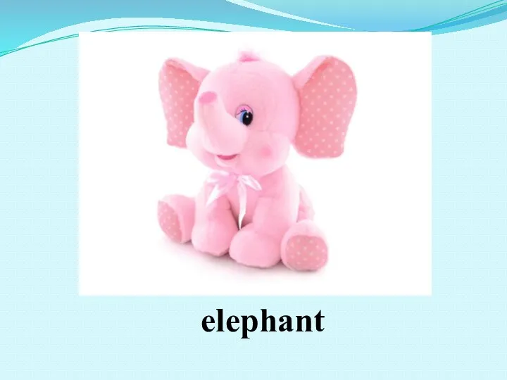 elephant