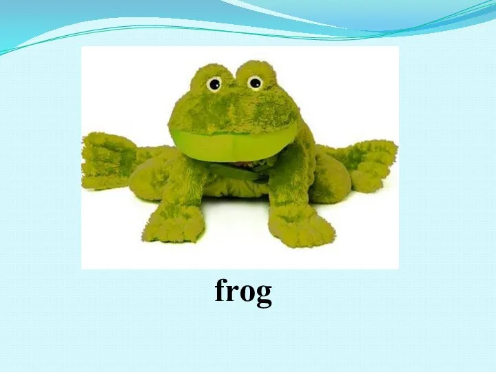 frog