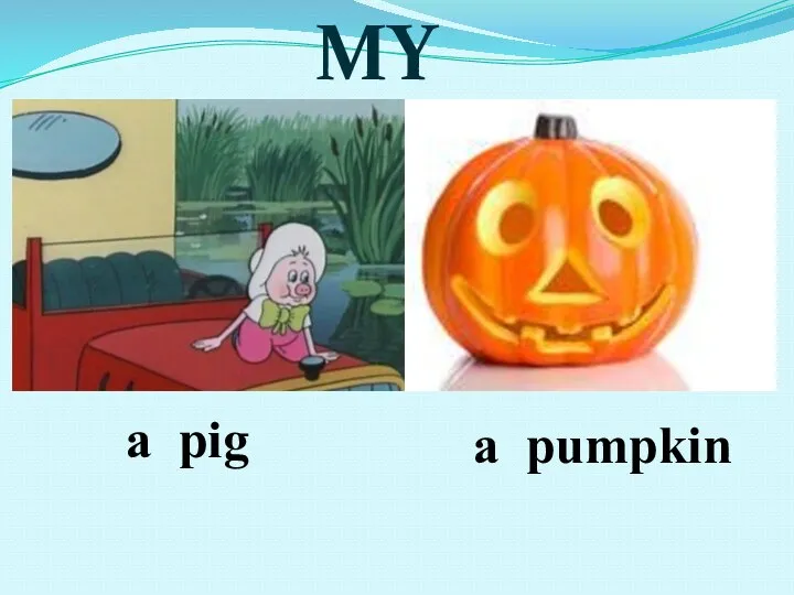 MY TOYS a pig a pumpkin