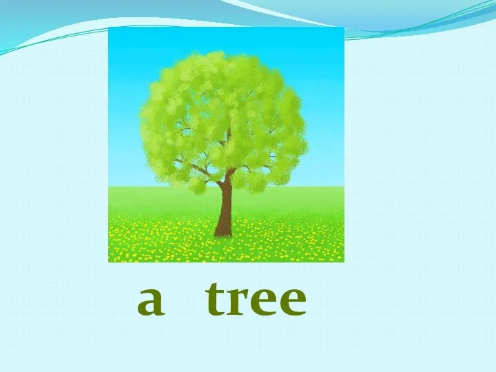 a tree