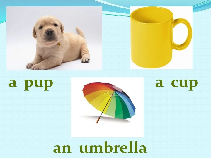 a pup a cup an umbrella