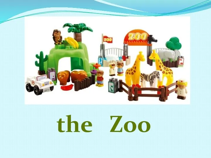 the Zoo