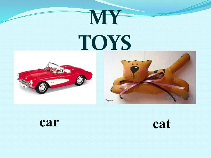 MY TOYS car cat