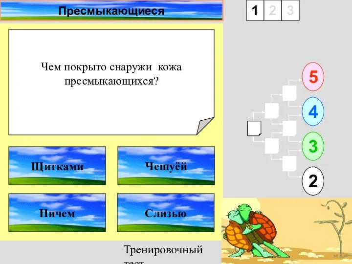 Тренировочный тест Пресмыкающиеся Чем покрыто снаружи кожа пресмыкающихся? 1 Ничем Слизью 5