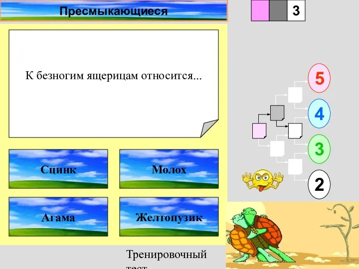 Тренировочный тест К безногим ящерицам относится... 1 Агама Желтопузик 5 2 3