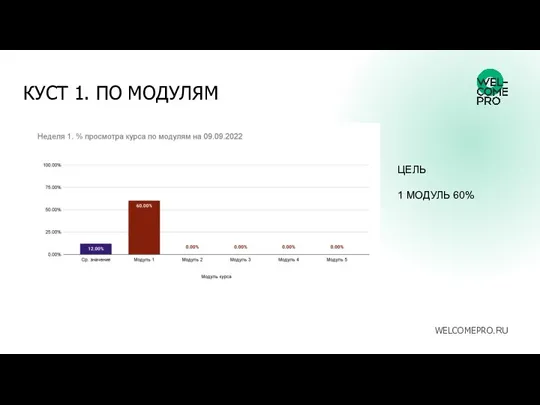 КУСТ 1. ПО МОДУЛЯМ WELCOMEPRO.RU ЦЕЛЬ 1 МОДУЛЬ 60%