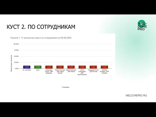 КУСТ 2. ПО СОТРУДНИКАМ WELCOMEPRO.RU