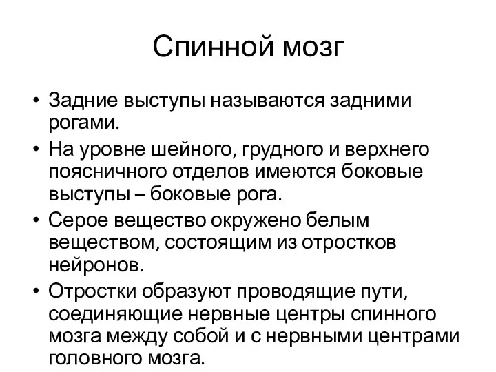 Спинной мозг Задние выступы называются задними рогами. На уровне шейного, грудного и