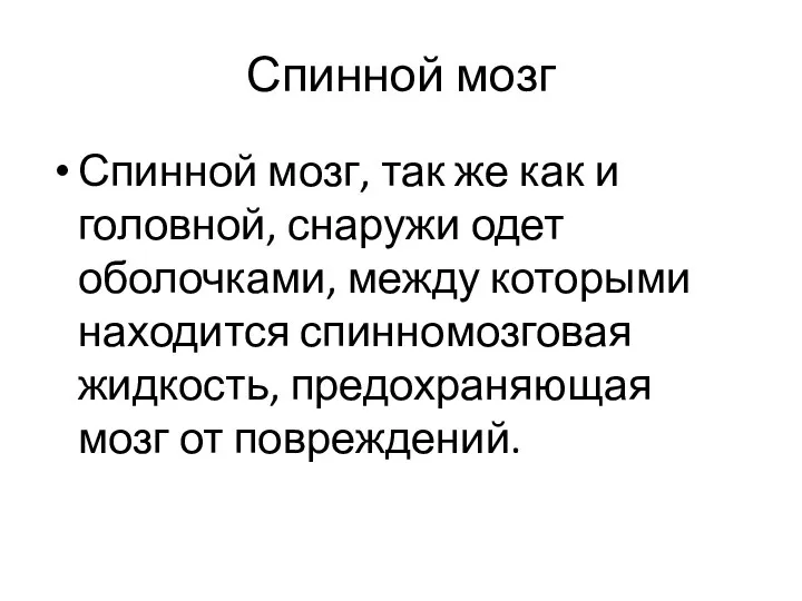 Спинной мозг Спинной мозг, так же как и головной, снаружи одет оболочками,