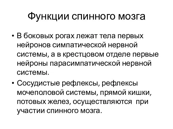 Функции спинного мозга В боковых рогах лежат тела первых нейронов симпатической нервной