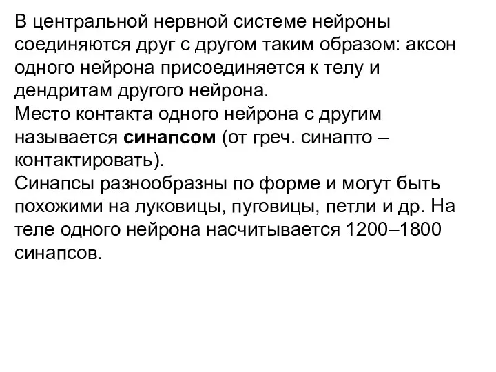 В центральной нервной системе нейроны соединяются друг с другом таким образом: аксон