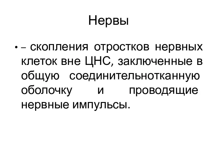 Нервы – скопления отростков нервных клеток вне ЦНС, заключенные в общую соединительнотканную