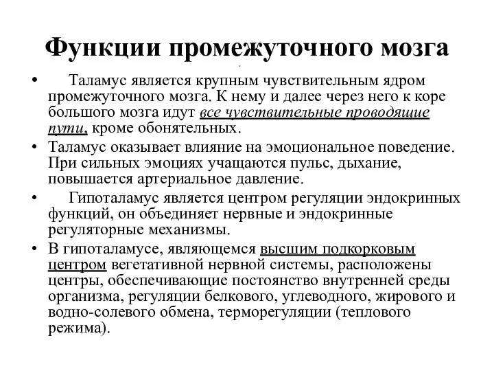 Функции промежуточного мозга Таламус является крупным чувствительным ядром промежуточного мозга. К нему