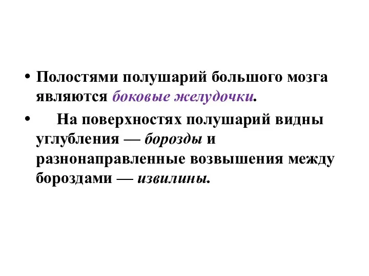 Полостями полушарий большого мозга являются боковые желудочки. На поверхностях полушарий видны углубления