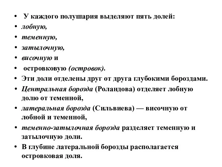 У каждого полушария выделяют пять долей: лобную, теменную, затылочную, височную и островковую