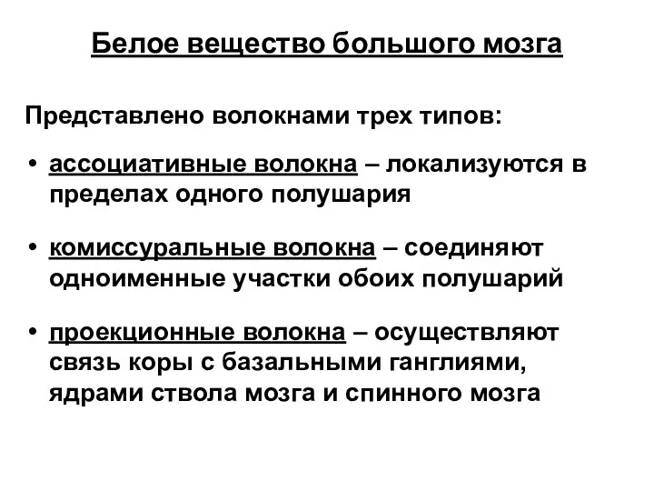 Белое вещество большого мозга Представлено волокнами трех типов: ассоциативные волокна – локализуются