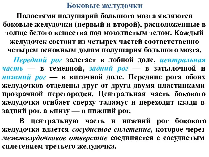 Боковые желудочки Полостями полушарий большого мозга являются боковые желудочки (первый и второй),