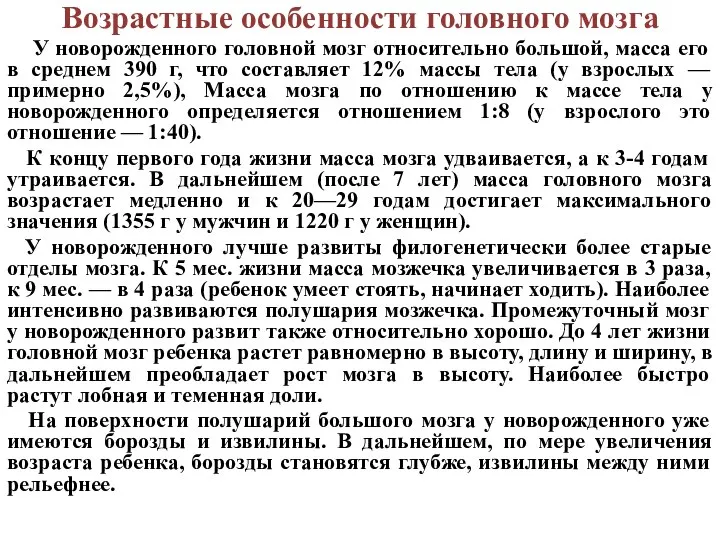 Возрастные особенности головного мозга У новорожденного головной мозг относительно большой, масса его