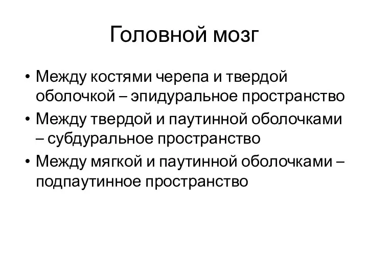 Головной мозг Между костями черепа и твердой оболочкой – эпидуральное пространство Между