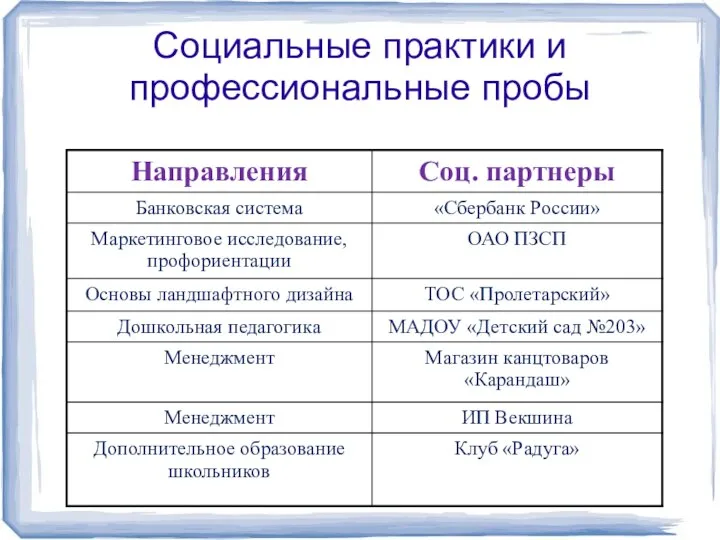 Социальные практики и профессиональные пробы