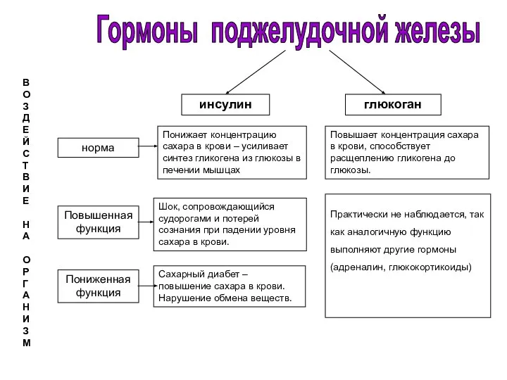 инсулин глюкоган норма Повышенная функция Пониженная функция Понижает концентрацию сахара в крови