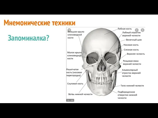 Мнемонические техники Запоминалка?