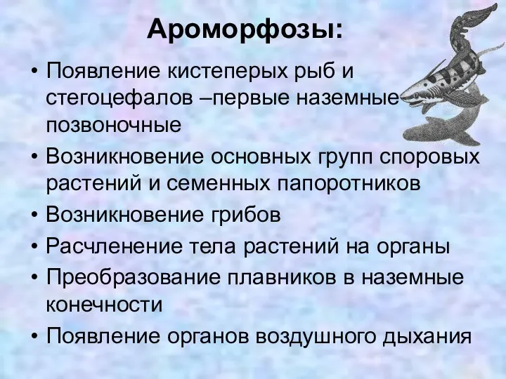 Ароморфозы: Появление кистеперых рыб и стегоцефалов –первые наземные позвоночные Возникновение основных групп