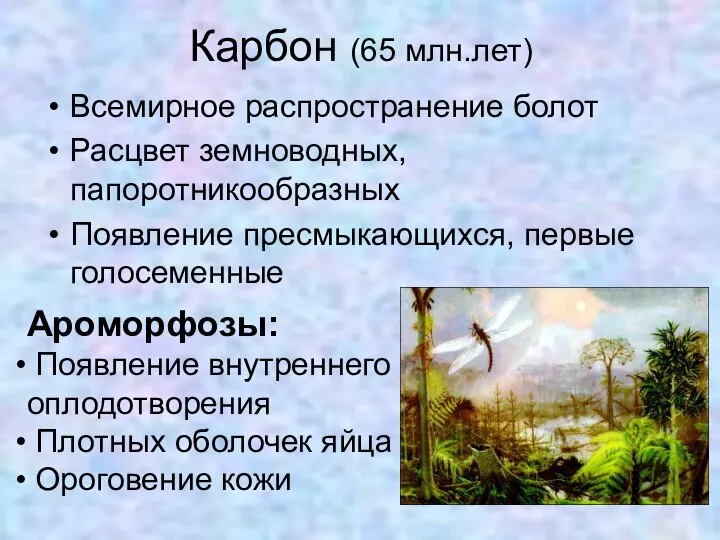 Карбон (65 млн.лет) Всемирное распространение болот Расцвет земноводных, папоротникообразных Появление пресмыкающихся, первые