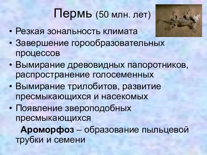 Пермь (50 млн. лет) Резкая зональность климата Завершение горообразовательных процессов Вымирание древовидных