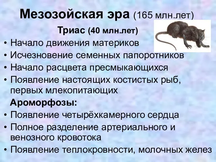 Мезозойская эра (165 млн.лет) Начало движения материков Исчезновение семенных папоротников Начало расцвета