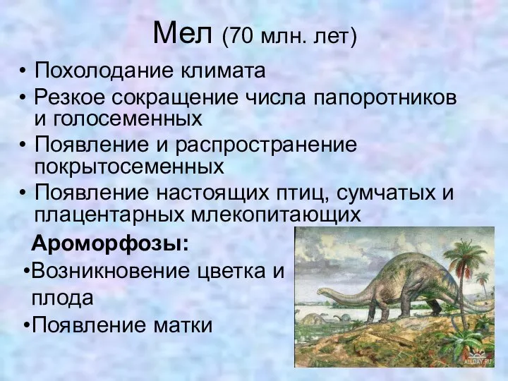 Мел (70 млн. лет) Похолодание климата Резкое сокращение числа папоротников и голосеменных