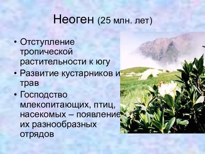 Неоген (25 млн. лет) Отступление тропической растительности к югу Развитие кустарников и