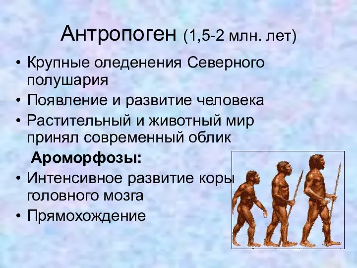 Антропоген (1,5-2 млн. лет) Крупные оледенения Северного полушария Появление и развитие человека