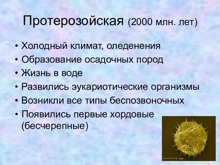 Протерозойская (2000 млн. лет) Холодный климат, оледенения Образование осадочных пород Жизнь в