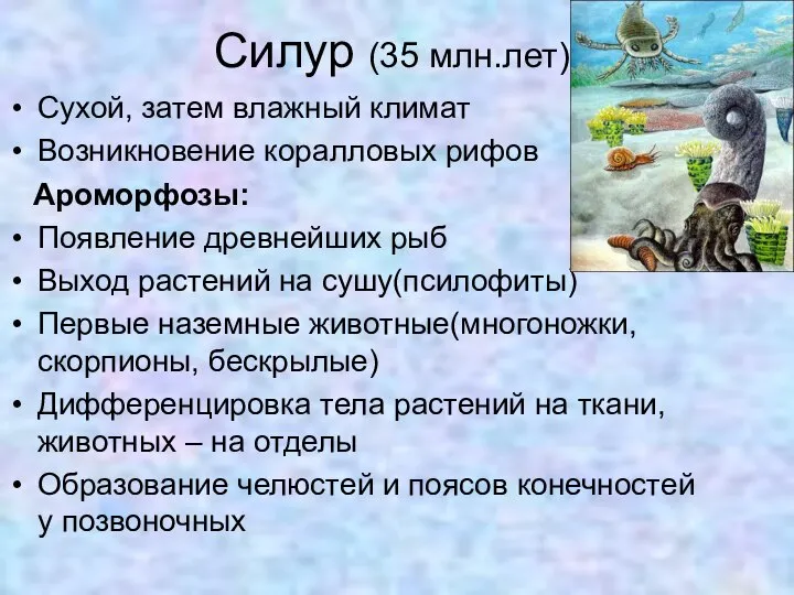 Силур (35 млн.лет) Сухой, затем влажный климат Возникновение коралловых рифов Ароморфозы: Появление