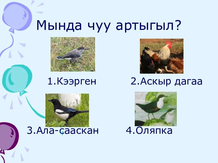 Мында чуу артыгыл? 1.Кээрген 2.Аскыр дагаа 3.Ала-сааскан 4.Оляпка